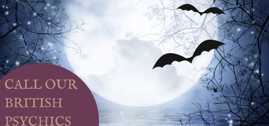 A bright full moon with silhouettes of bats flying