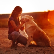 Pet psychic1 a woman petting her dog in the sunset
