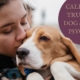 A woman kissing her brown and white beloved dog on the head.